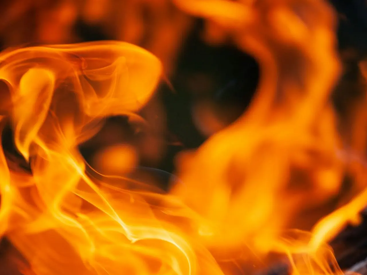 burning wood